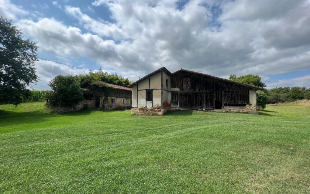 Vente Maison – 3 pièces – 479 m² à Labastide-d’armagnac (40240)